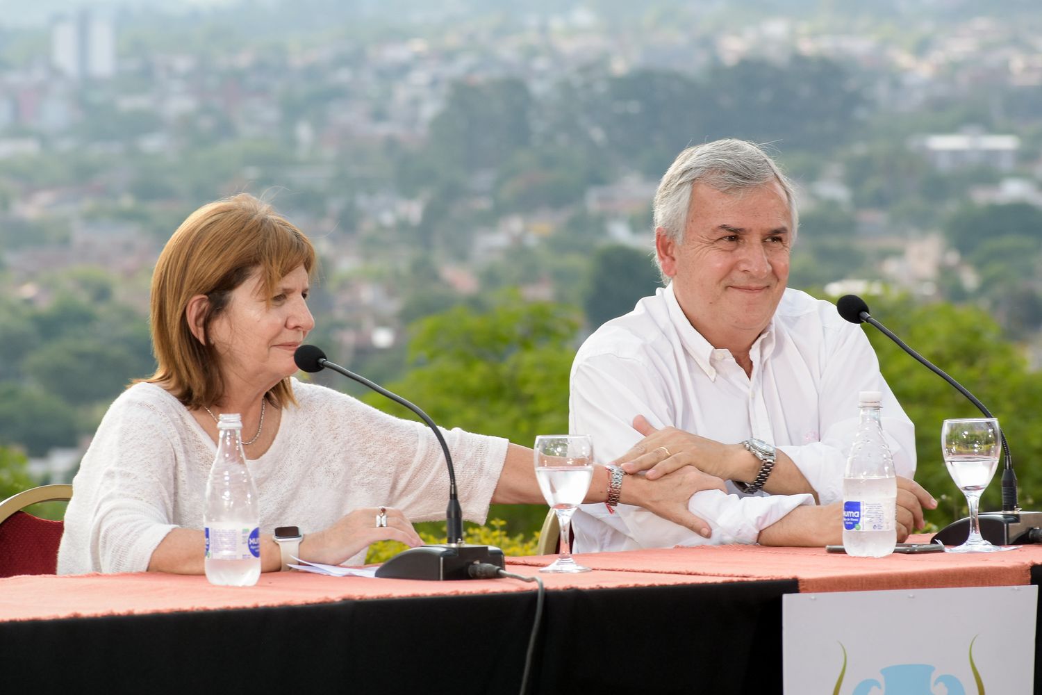 Patricia Bullrich considera a Gerardo Morales "como uno de los presidenciables de Juntos por el Cambio"