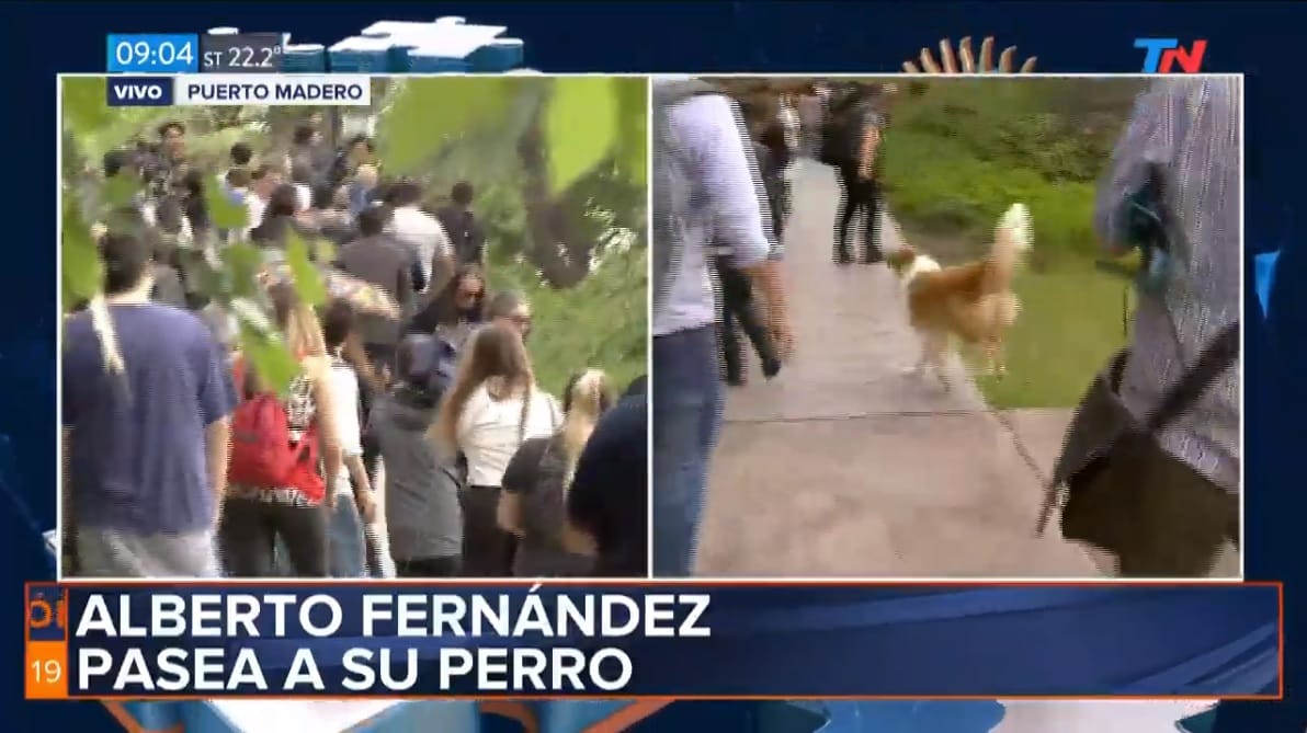 Antes de votar, Alberto Fernández sacó a pasear a su perro Dylan en medio de una marea de gente