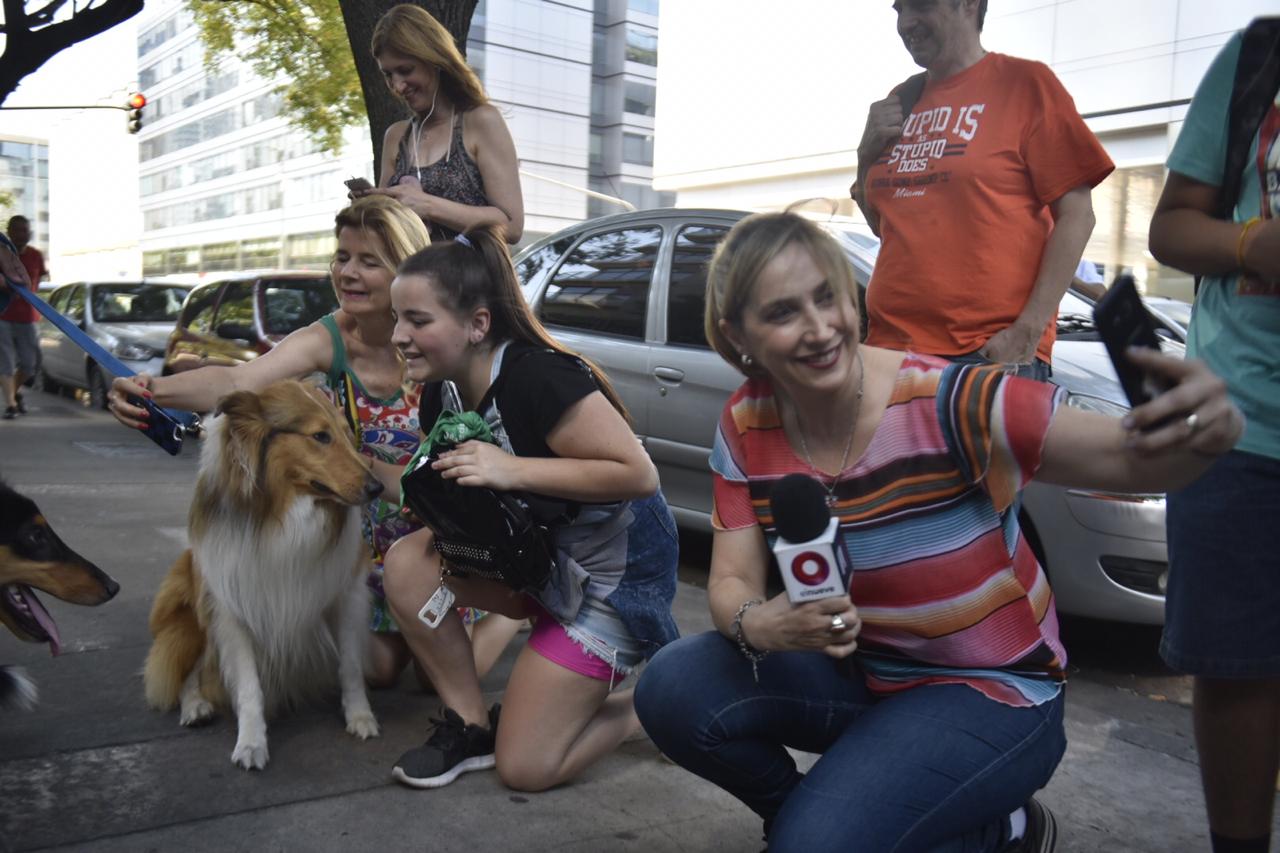 Todo un Celebrity: Los periodistas se sacaron fotos con Dylan, el perro de Alberto Fernández