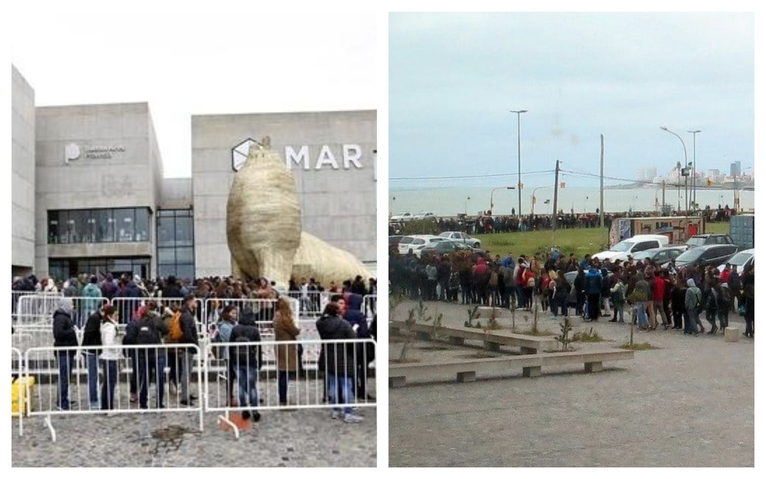 Efecto crisis: Más de 10 cuadras de cola para entrar a la Feria de Trabajo en Mar del Plata