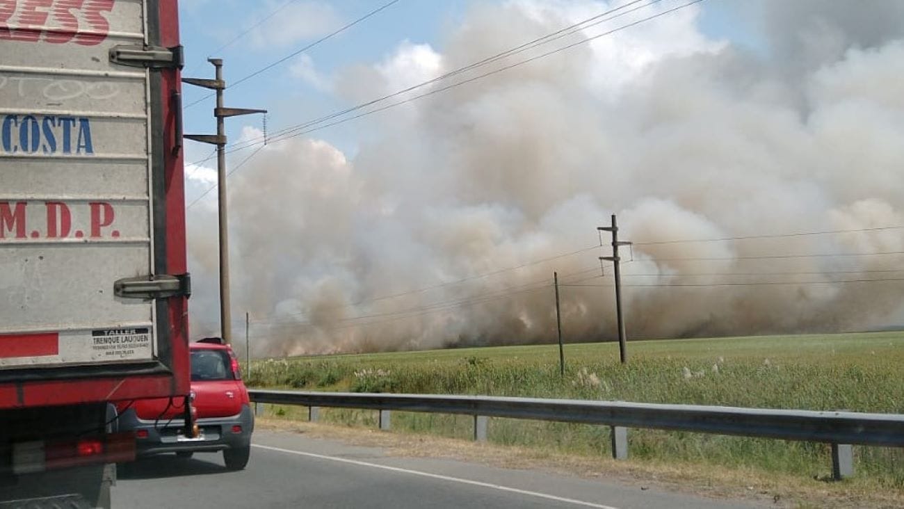 Incendio de pastizales en Gesell: El humo afectó la ruta provincial 11 en medio del recambio turístico