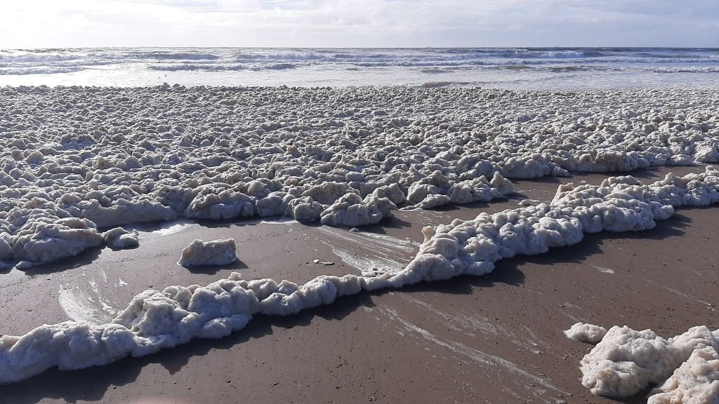 Mar del Plata: Playas de Punta Mogotes llena de espuma por un fenómeno natural
