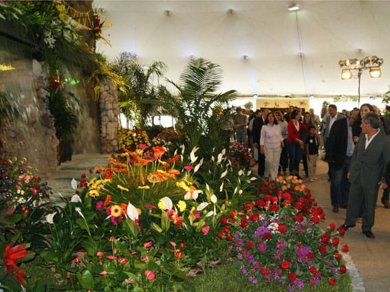 Comenzó la 7ma. edición de la Expo Flor en La Plata 