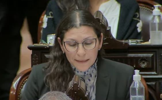Mónica Macha en Diputados: "Cristina está viva pero podría no estarlo, hay milagros que son perfectos"