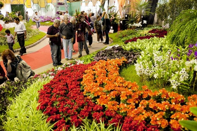Continúa la 53º Fiesta Nacional de la Flor en Escobar