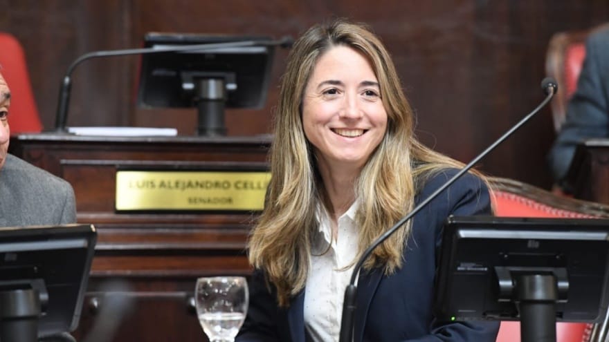 Flavia Delmonte: "El impacto de la Ley Impositiva será menor para el bolsillo de los bonaerenses"