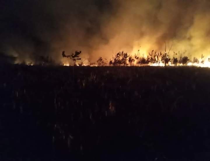 Continúan los incendios en el Parque Nacional Ciervo de los Pantanos y el humo está llegando al centro de Campana