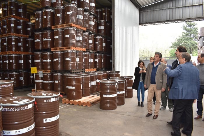 Nueve industrias apícolas de la Provincia podrán exportar miel a China
