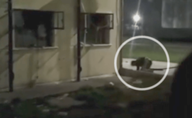 Video: Limó los barrotes e intentó fugarse por la ventana de la alcaidía de Lomas de Zamora