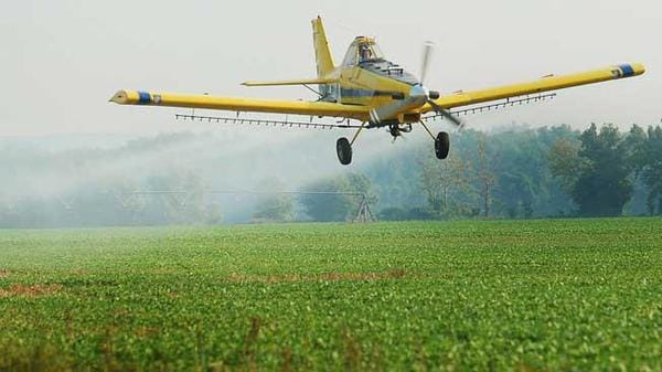 Ramallo: Productor dejará de sembrar soja para no afectar a vecinos con agroquímicos