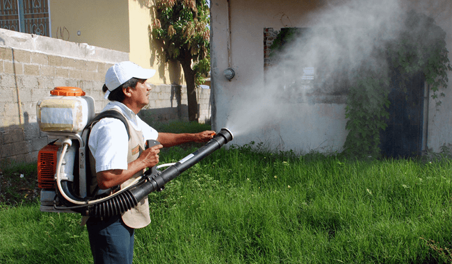 Dengue: Alertan por ladrones que se hacen pasar como fumigadores 