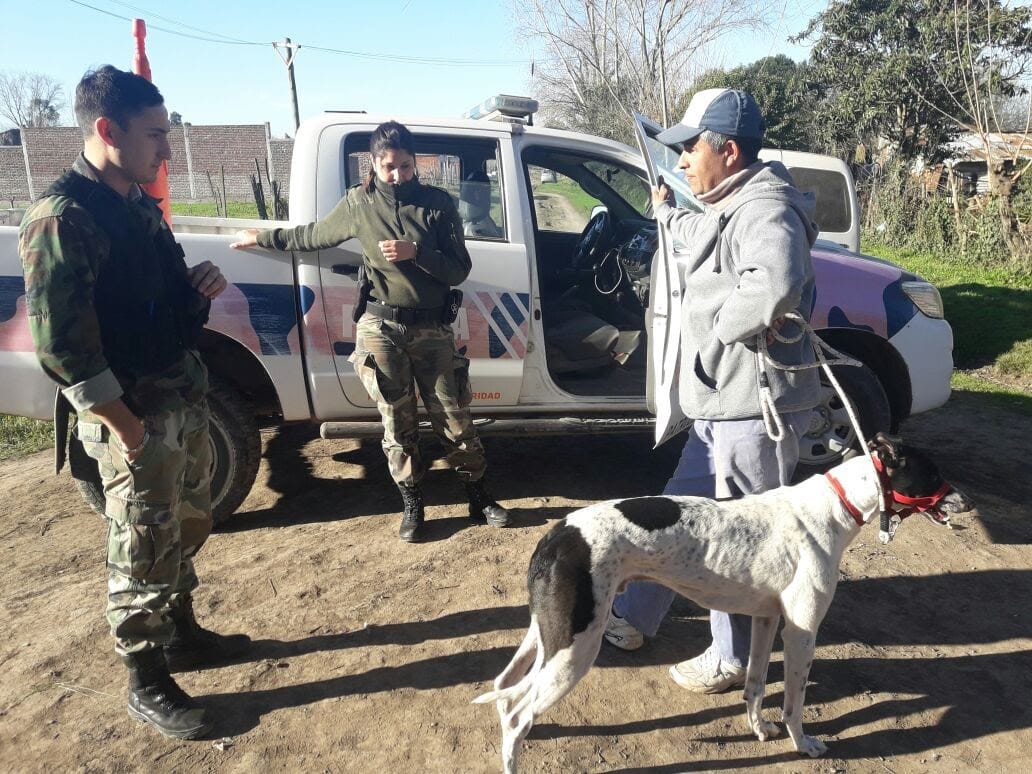 General Rodríguez: Cinco detenidos por organizar carreras de galgos