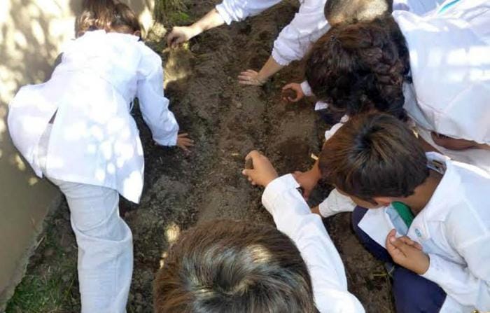 General Villegas: Alumnos de primaria crean una huerta orgánica