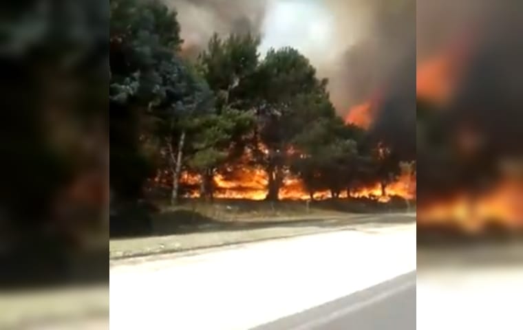Ardió Gesell como en el último verano: Incendio en sector cerca de la ruta 11 se vio desde la playa