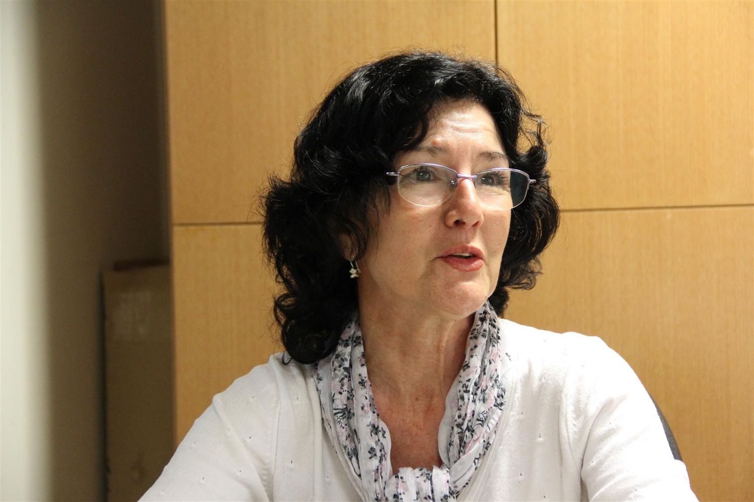 Graciela Romanelli reemplazará a Saín en Diputados