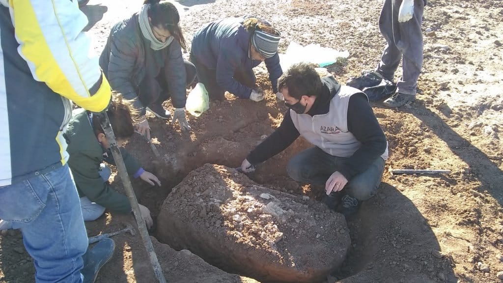Miramar: Hallaron fósiles de un perezoso gigante de 100.000 años de antigüedad