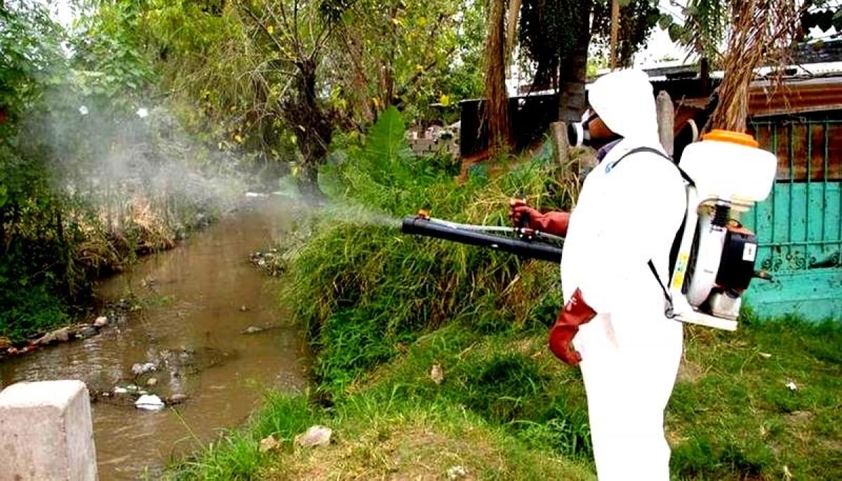 Nueve mil contagios de Dengue y Chikungunya en Provincia: el ranking de los municipios más afectados