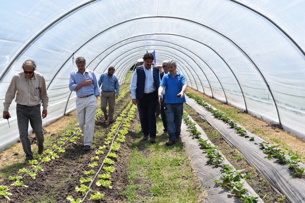 Abrió sus puertas ExpoGorina, la primera muestra de hortalizas del país