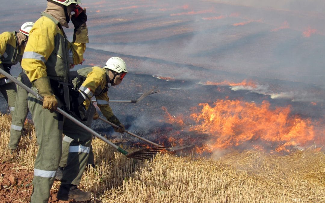 Chivilcoy: Un rayo provocó el incendio de 140 hectáreas sembradas con trigo