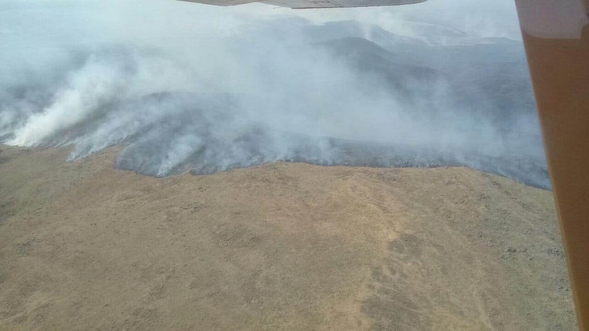 Incendios en Sierra de la Ventana: Hay cuatro mil hectáreas afectadas y bomberos heridos
