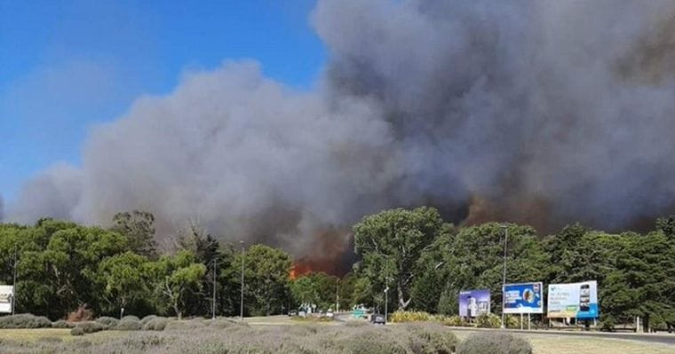 Incendio en Gesell: Intendente desmiente a Clarín por declaraciones "falsas y temerarias"