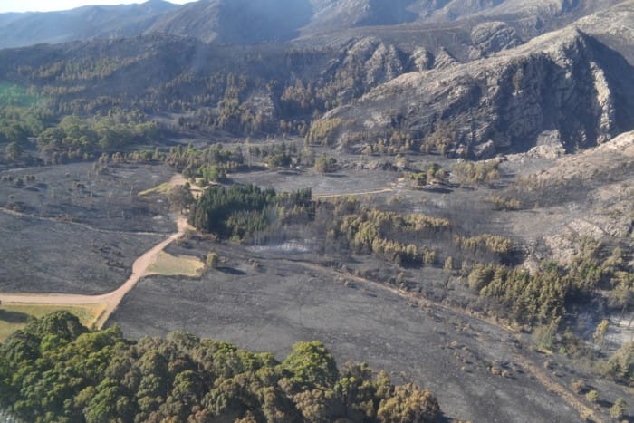 Incendio en Sierra de la Ventana: Cerraron el Parque Provincial Tornquist