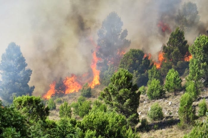 Incendio en Sierra de la Ventana: El fuego afecta 17 mil hectáreas