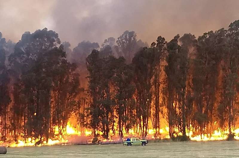 Incendio en Tandil: Con un avión hidrante y un helicóptero apaciguaron el fuego en las sierras