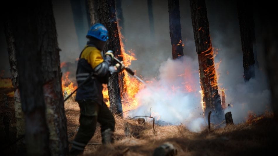 Los bomberos de Vicente López reciben donaciones por los incendios en Corrientes