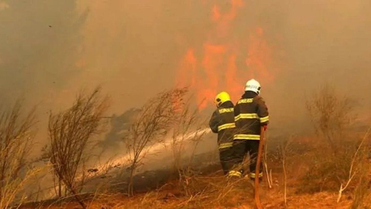 Más de 200 bomberos bonaerenses combaten los incendios en Corrientes: "La situación es muy difícil"