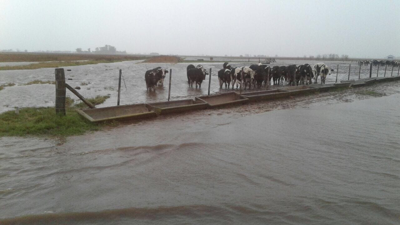 Junín: Asamblea de productores bonaerenses por las inundaciones en la Provincia