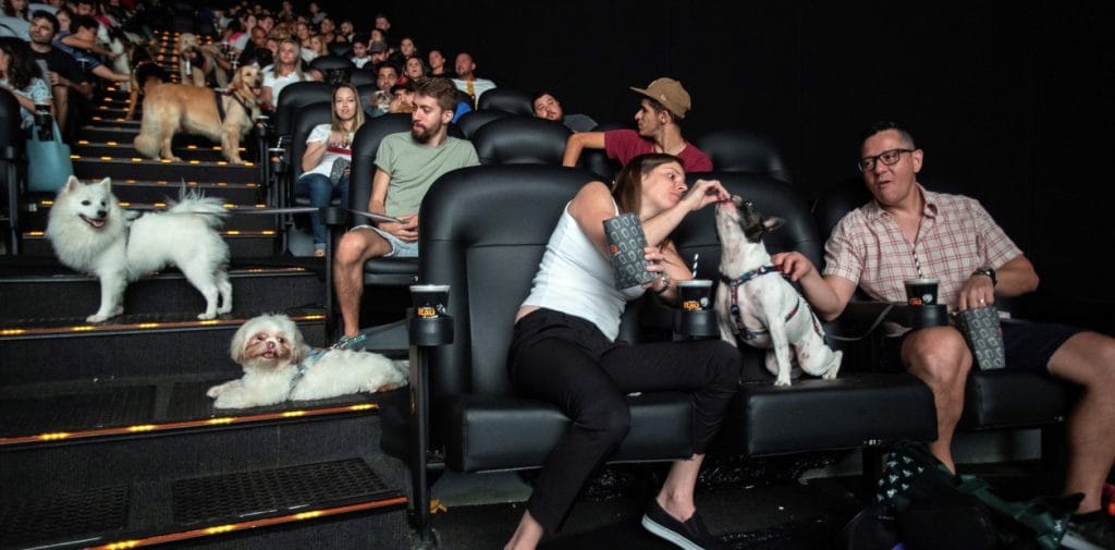 Warner Bros y la Municipalidad de Escobar organizan la primera función de cine con mascotas en Latinoamerica