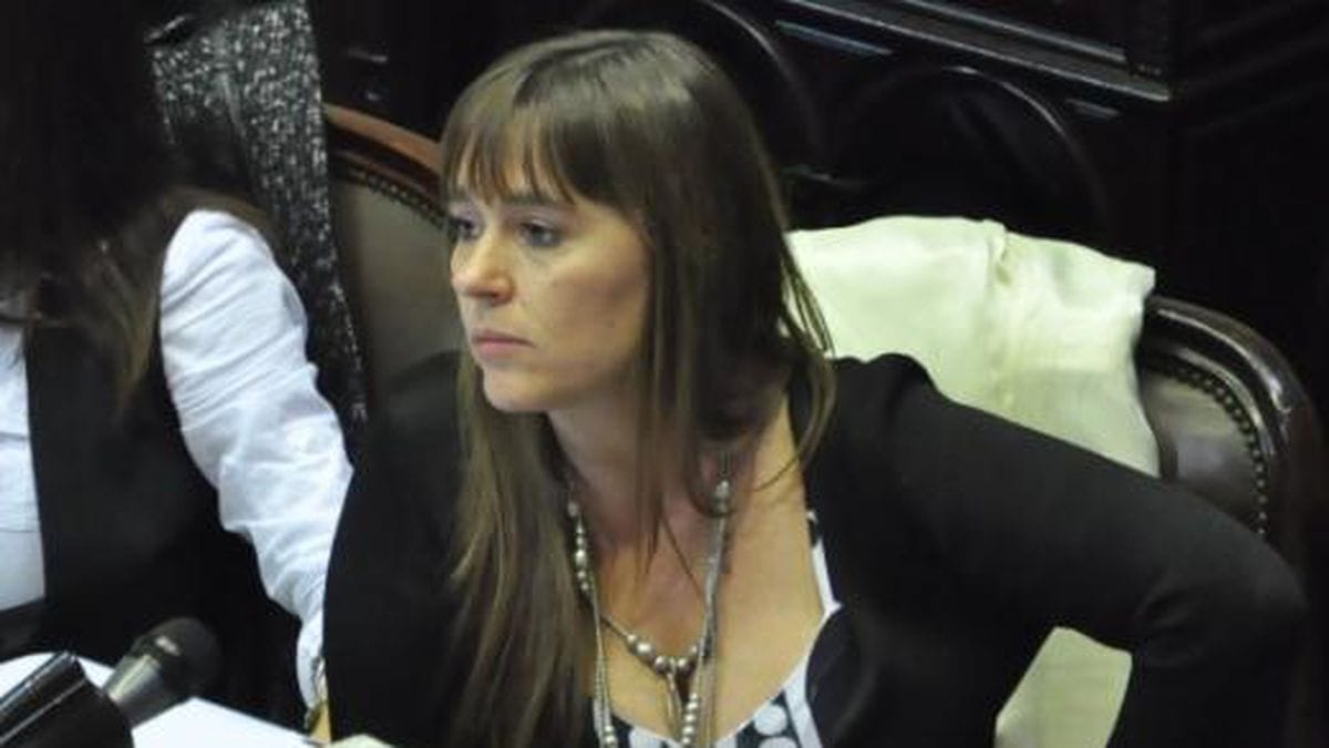 Juliana Di Tullio contó por qué votó en contra del proyecto de Alberto: "No es bueno para el pueblo bonaerense"