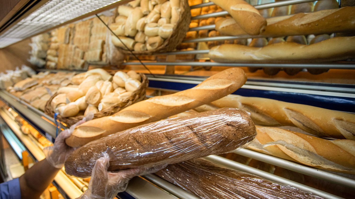El kilo de pan en Bahía Blanca llega a los 400 pesos: El problema de la harina subsidiada
