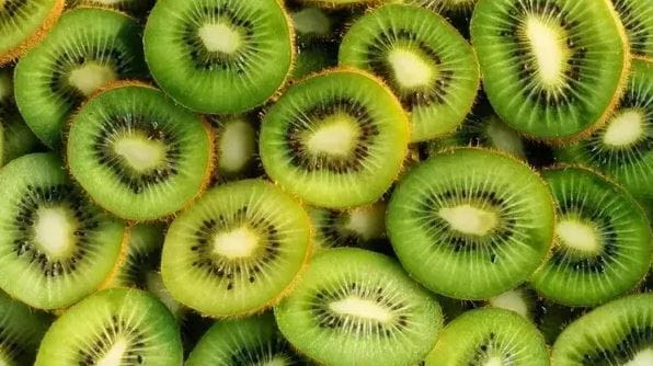 Alvarado, zona de baja prevalencia de mosca de los frutos: Destacan avance para comercialización de kiwi