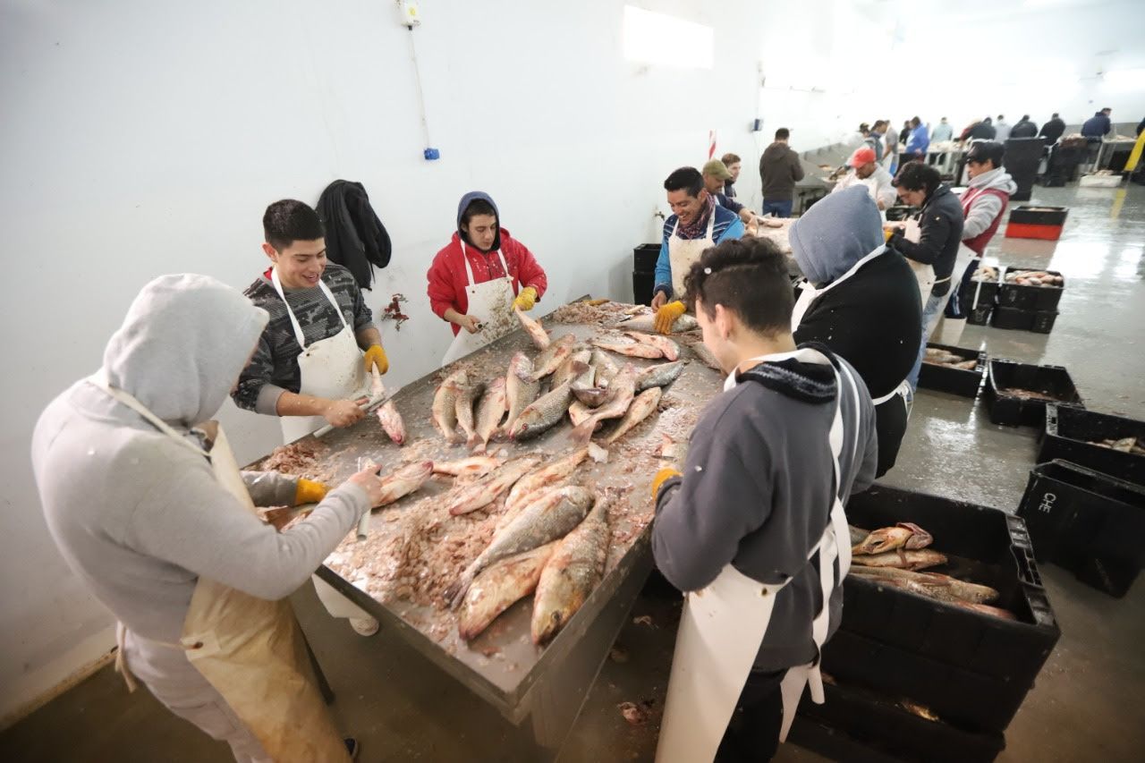 La Costa: La Terminal Pesquera prepara su primera exportación a Francia