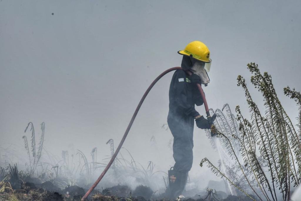 Contuvieron el incendio en Punta Lara: Se perdieron 300 hectáreas de la Reserva Natural