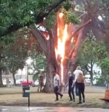 Tormenta en Lincoln: Un rayo cayó sobre un árbol y lo prendió fuego