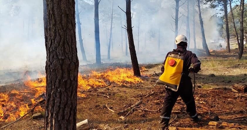 Un vecino de Lobería provocó un incendio en una estancia: Se quemaron 15 hectáreas
