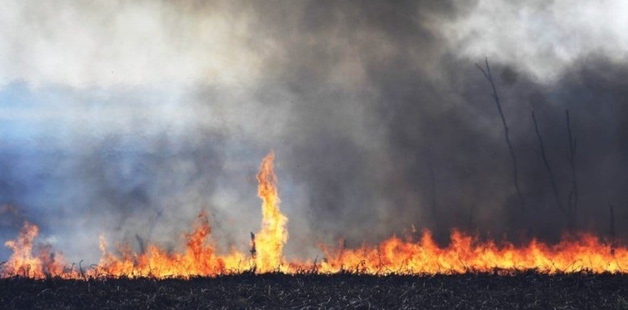 Incendios en el Delta del Paraná: Defensa Civil arma un comando unificado para combatir el fuego en San Nicolás