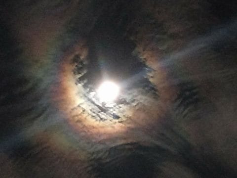 Misterio en el cielo: Un extraño zumbido atemorizó a cientos de vecinos en Avellaneda
