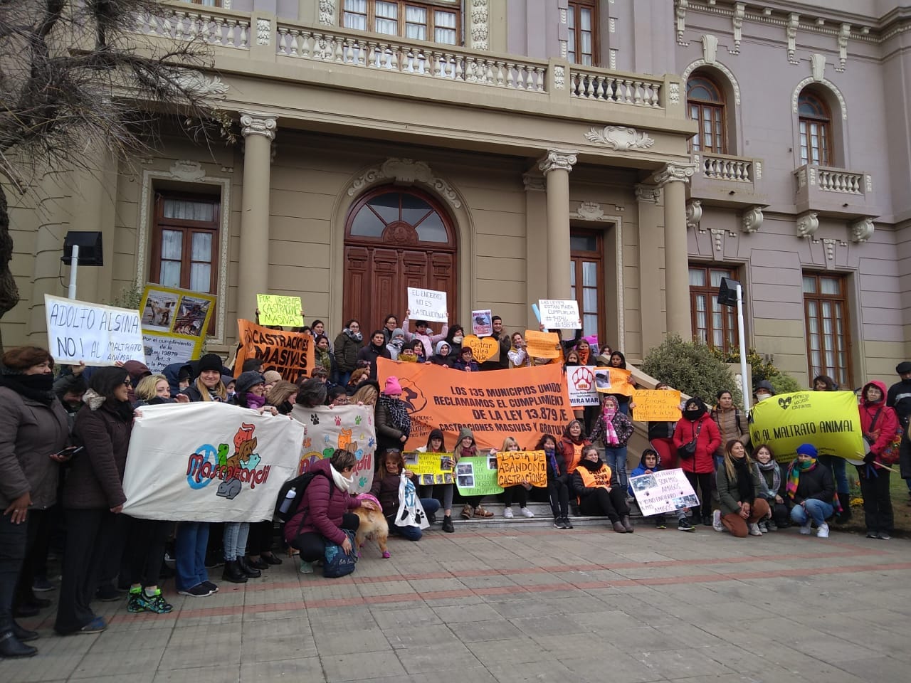 Otra vez denuncias de proteccionistas contra la perrera de Benito Juárez: Cruce cara a cara y polémica