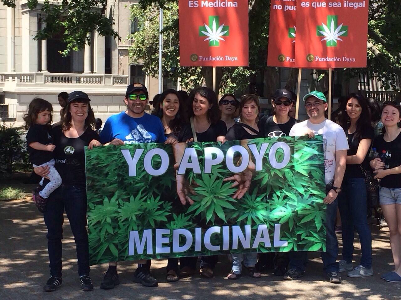 Marihuana medicinal: Avanzan en el Congreso proyectos para legalizar su uso