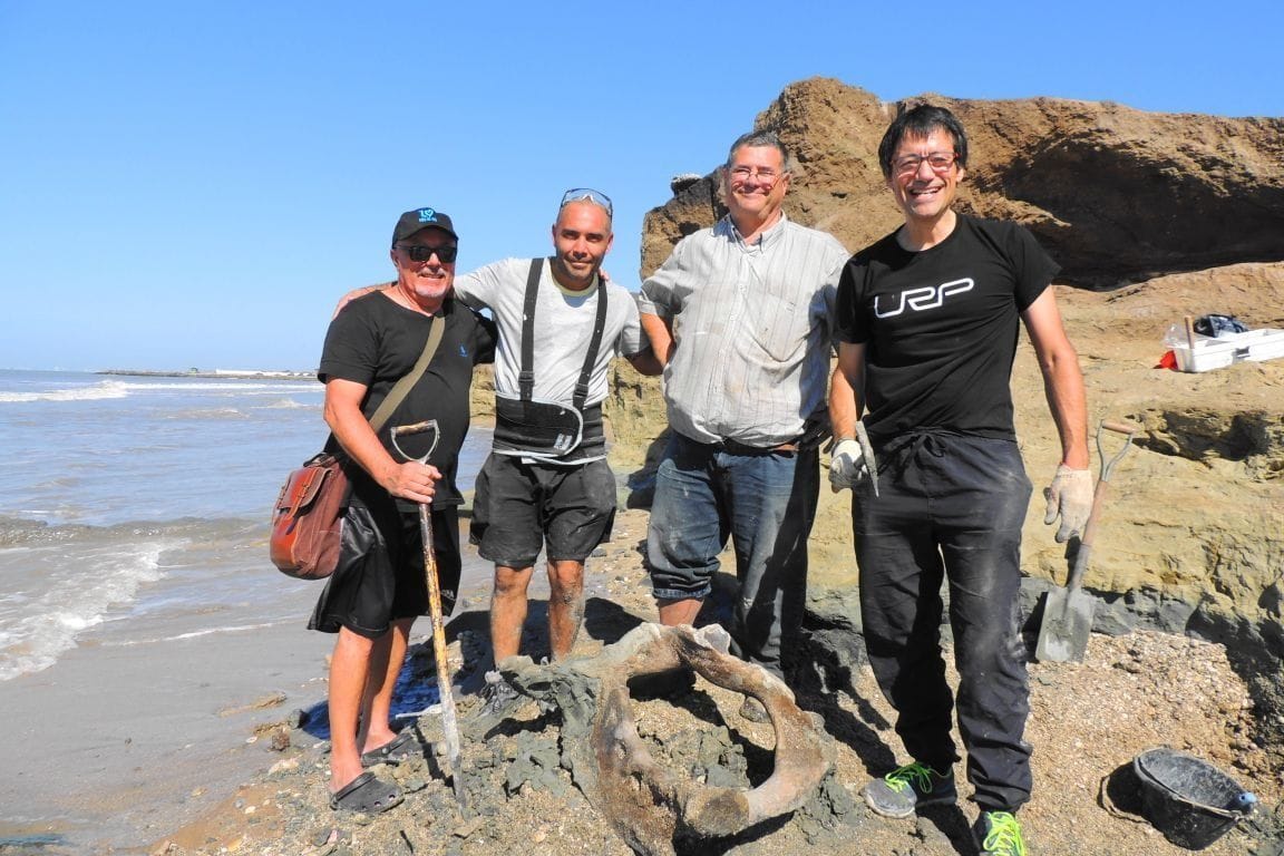 Mar Chiquita: Hallan material fósil de unos 24 mil años en yacimiento paleontológico de Camet Norte