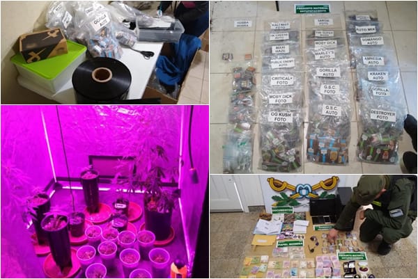 Conurbano: Cayó organización transnacional con "laboratorio" para tráfico de semillas de marihuana
