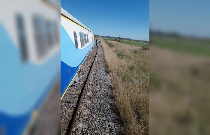 Descarriló tren Mar del Plata - Buenos Aires a la altura de Dolores y no hubo heridos