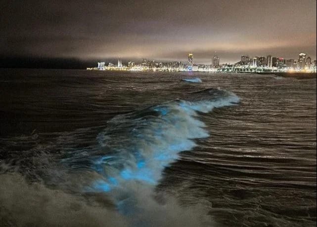 Las aguas de Mar del Plata tomaron un color azul fluorescente: Qué pasó