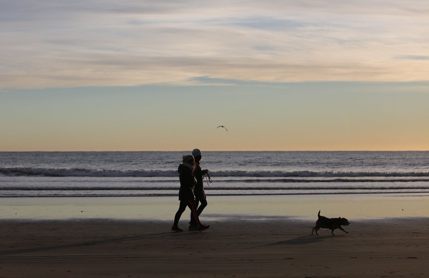 Vacaciones de invierno en Mar del Plata: Llegaron más de 80 mil turistas