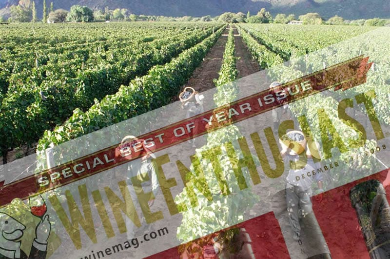 Mendoza: Uno de los 10 mejores destinos de turismo del vino del mundo