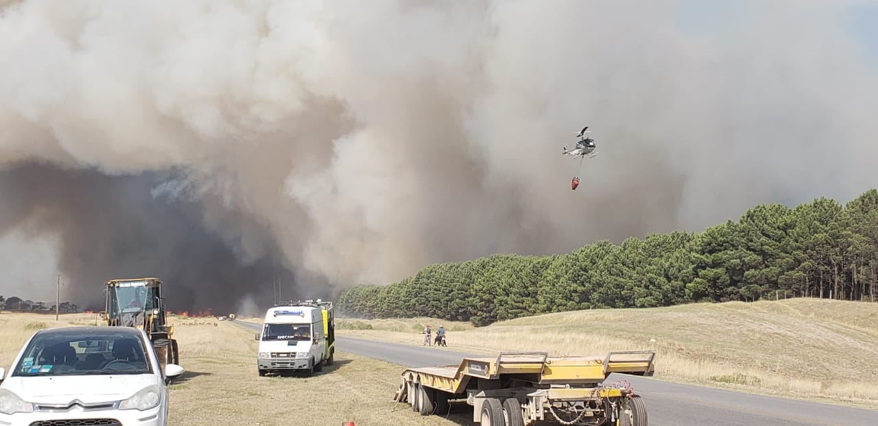 Miramar: Lograron controlar el incendio forestal que afectó campos y el Vivero